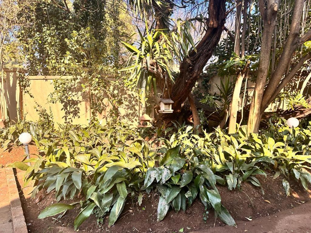 Woods Guest House 米德尔堡 外观 照片